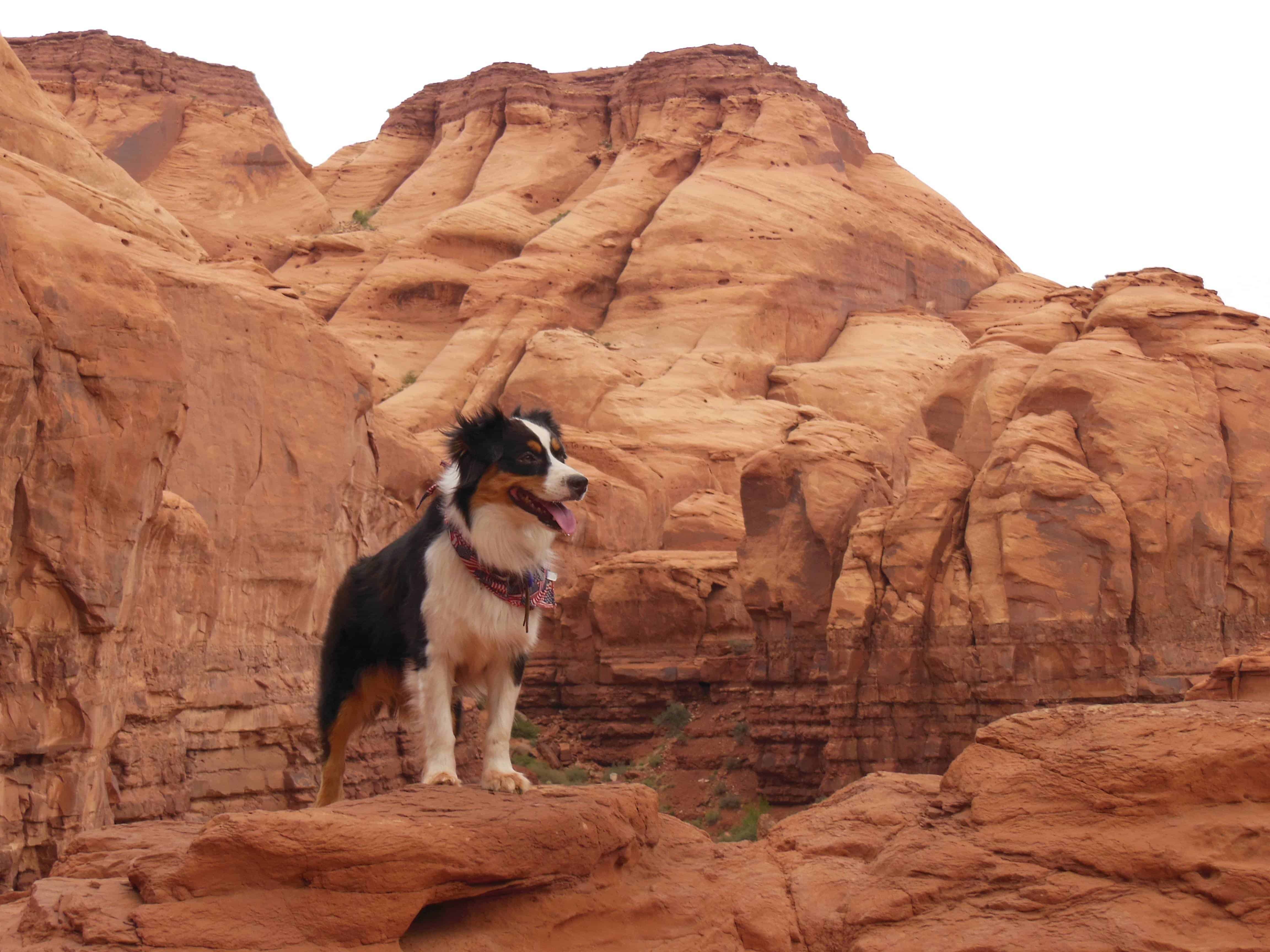 Goulding's Lodge Campground