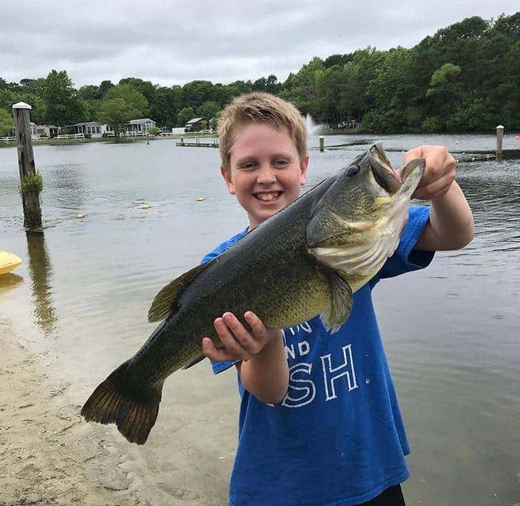 Beachcomber Camping Resort