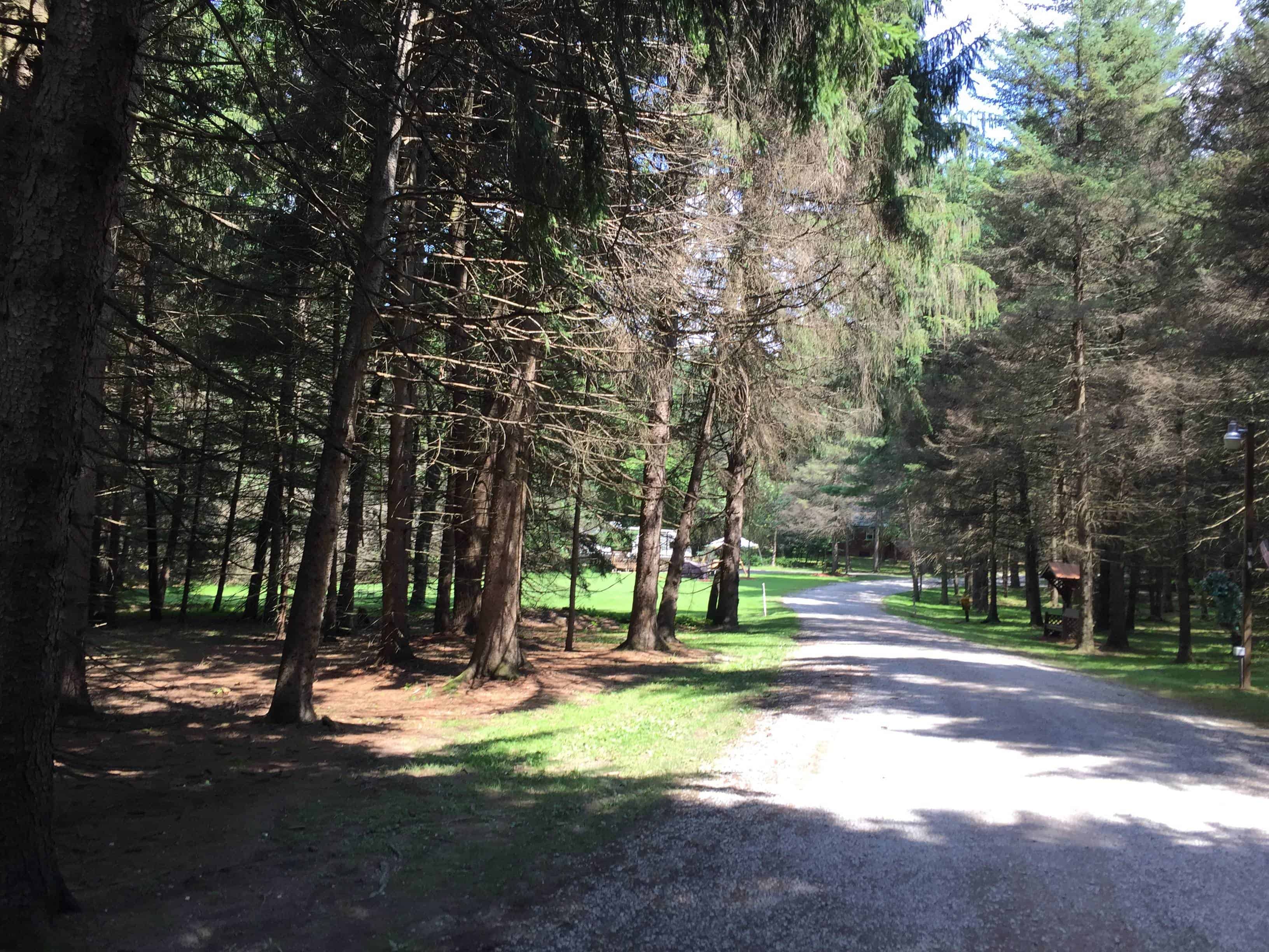 Campers Paradise Campground & Cabins