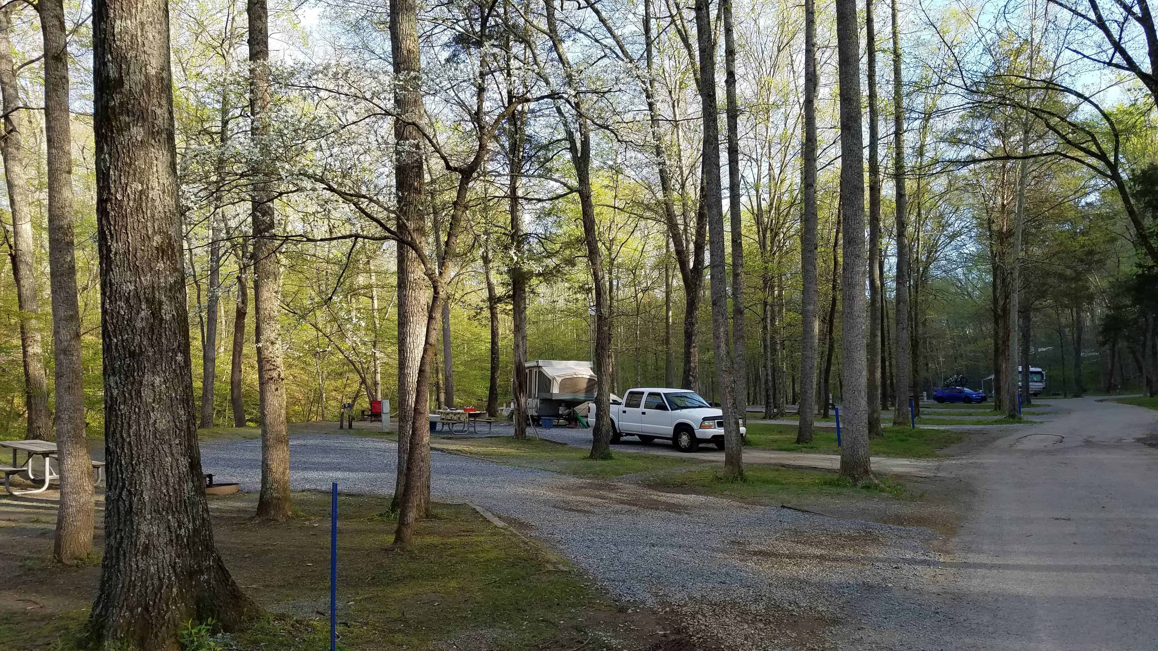 Montgomery Bell State Park Campground