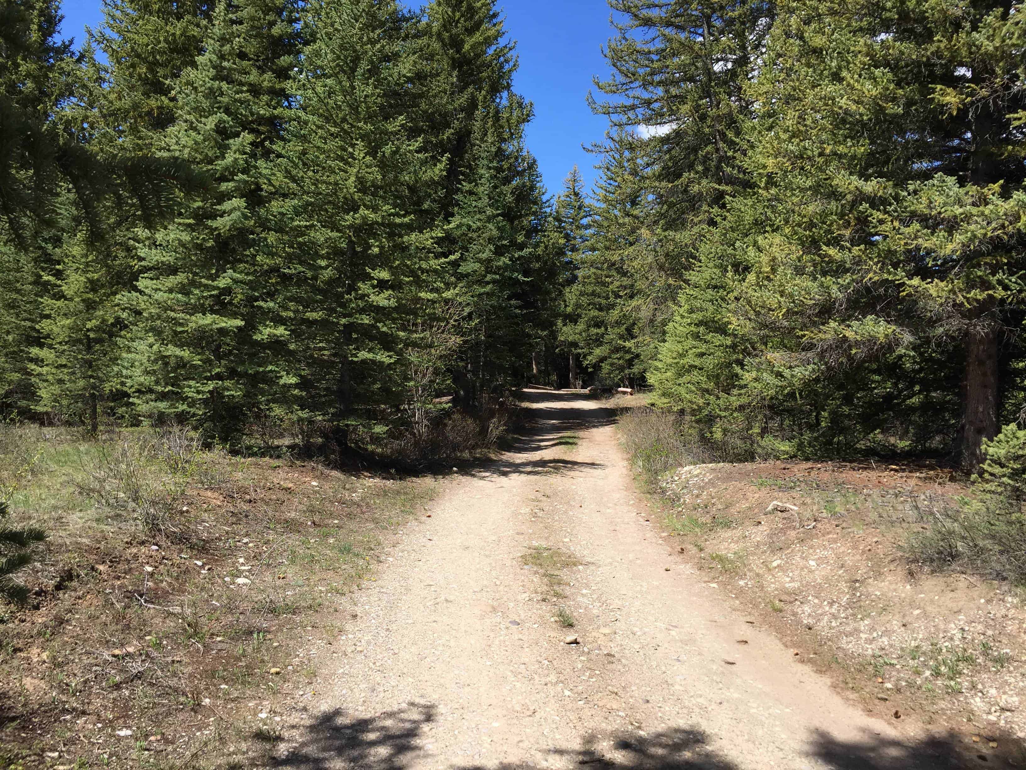 Crystal Creek Campground