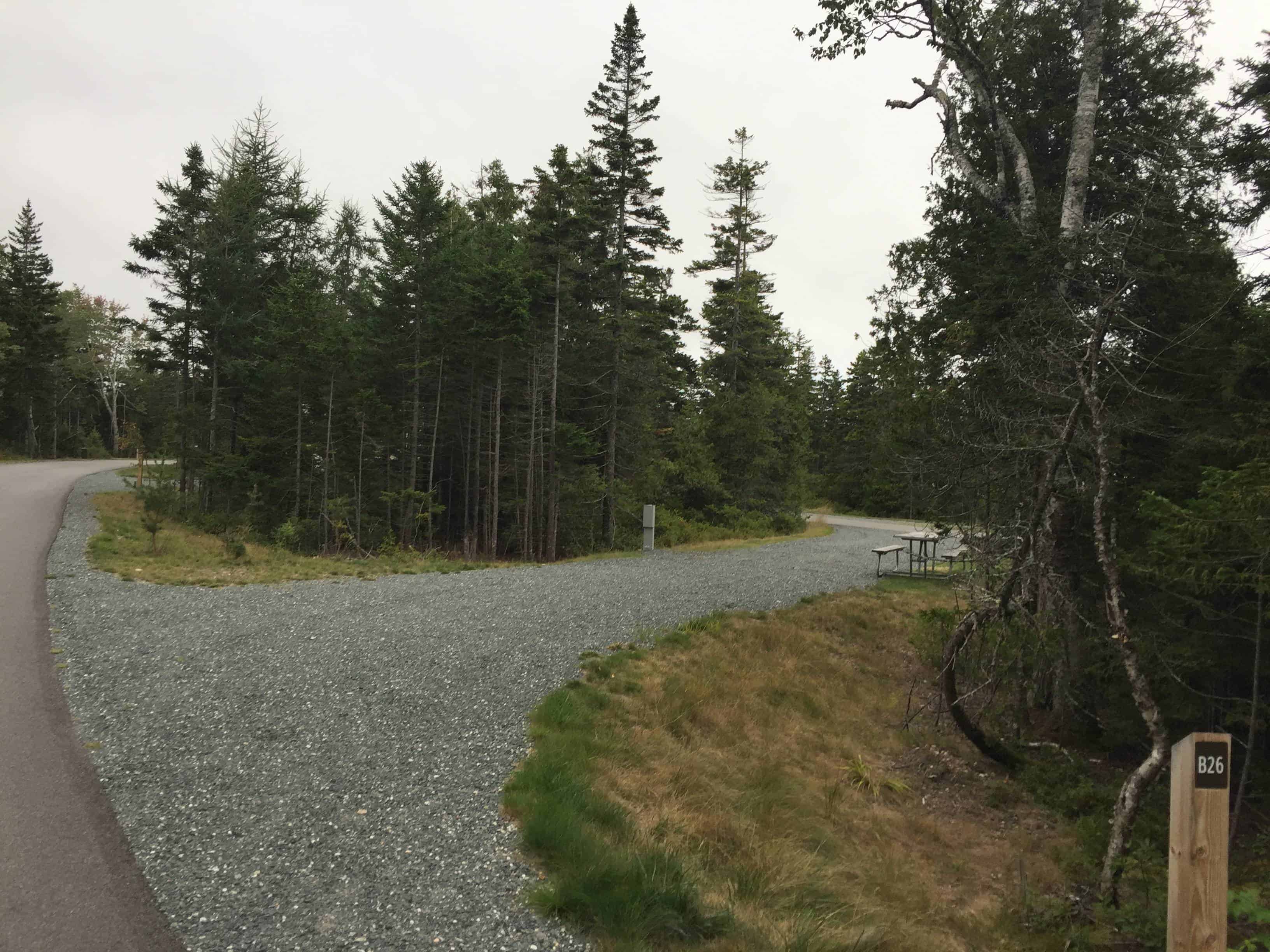 Schoodic Woods Campground