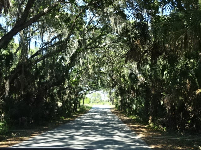 Oscar Scherer State Park Campground