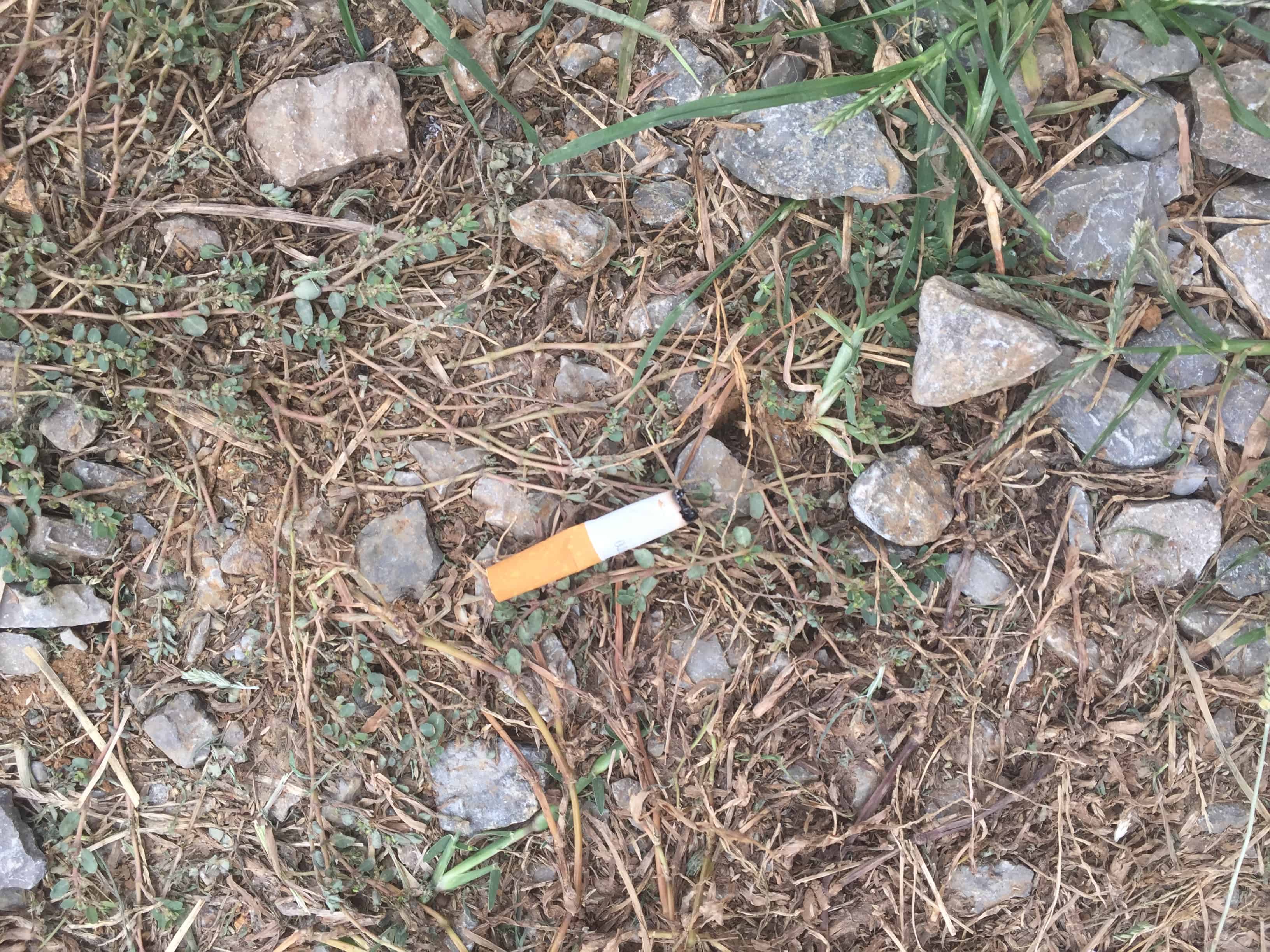 Music City Campground