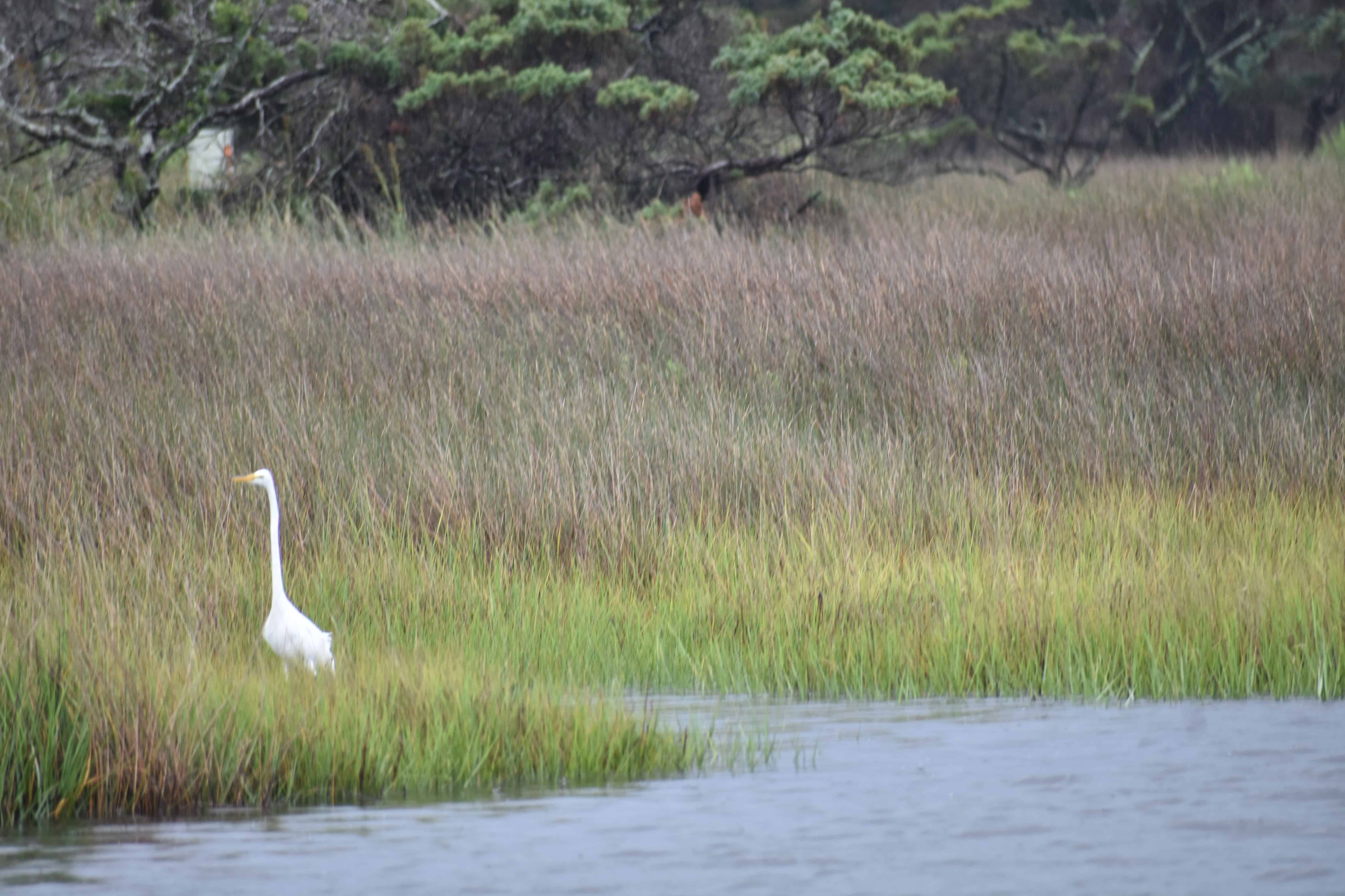 Hatteras Sands Resort