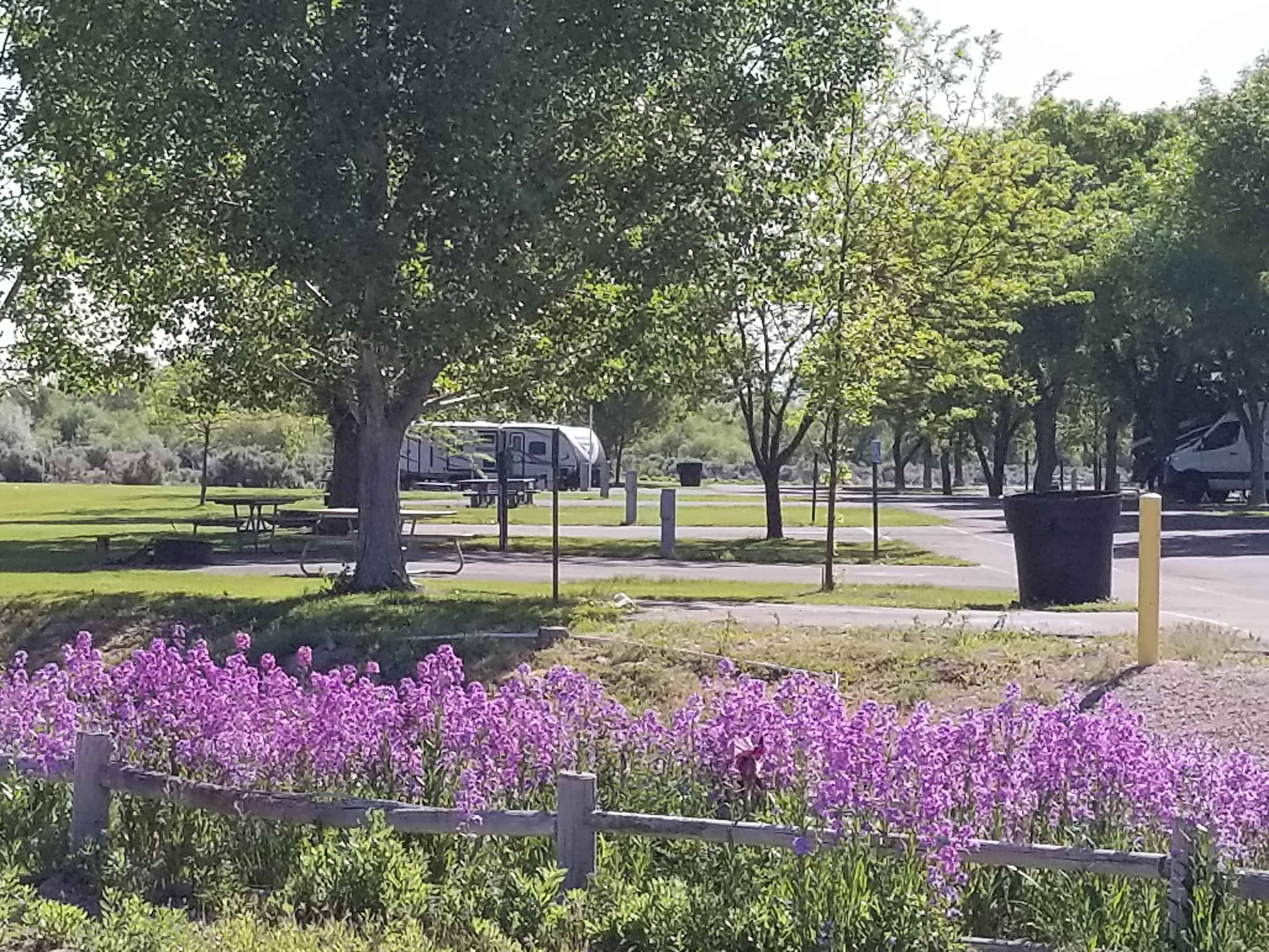 Willow Bay Recreation Area