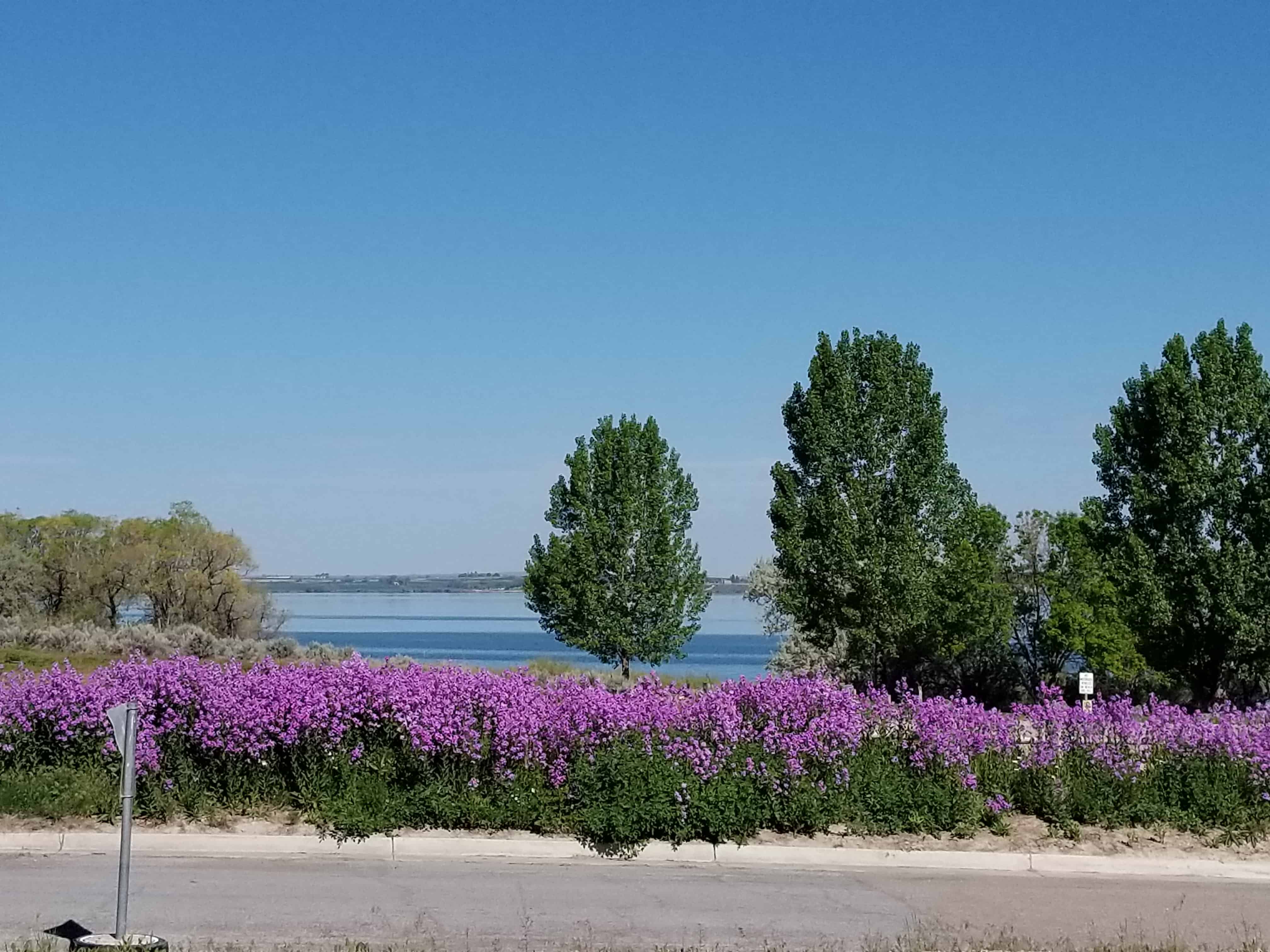 Willow Bay Recreation Area