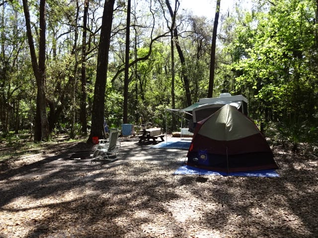 Hillsborough River State Park Campground - Hammock Circle