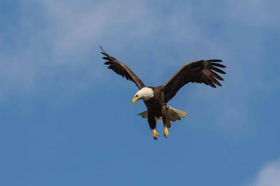 Eagle's Nest RV Park