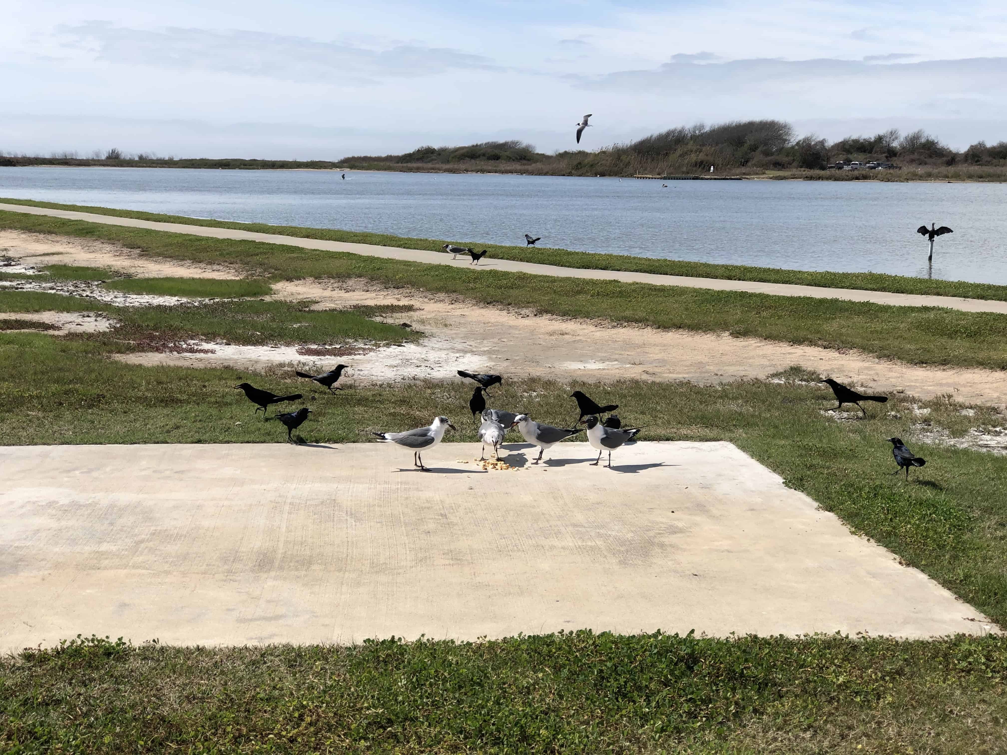 Matagorda Bay Nature Park