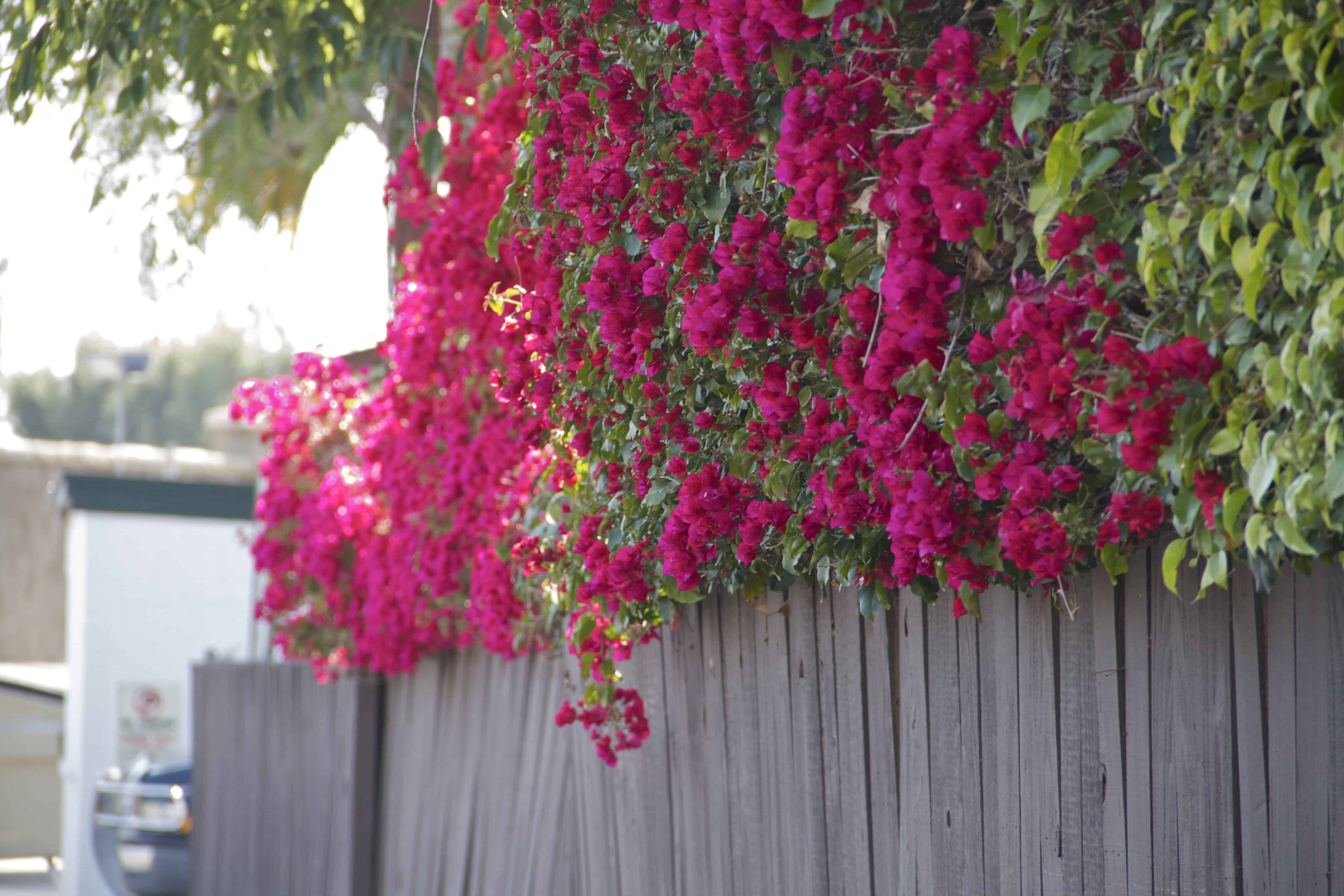 Santa Barbara Sunrise RV Park