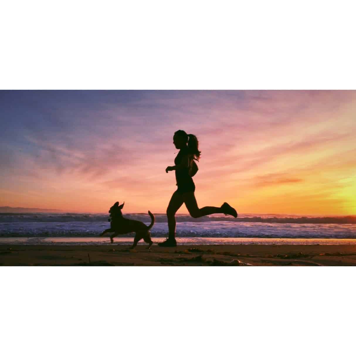 Santa Barbara Sunrise RV Park