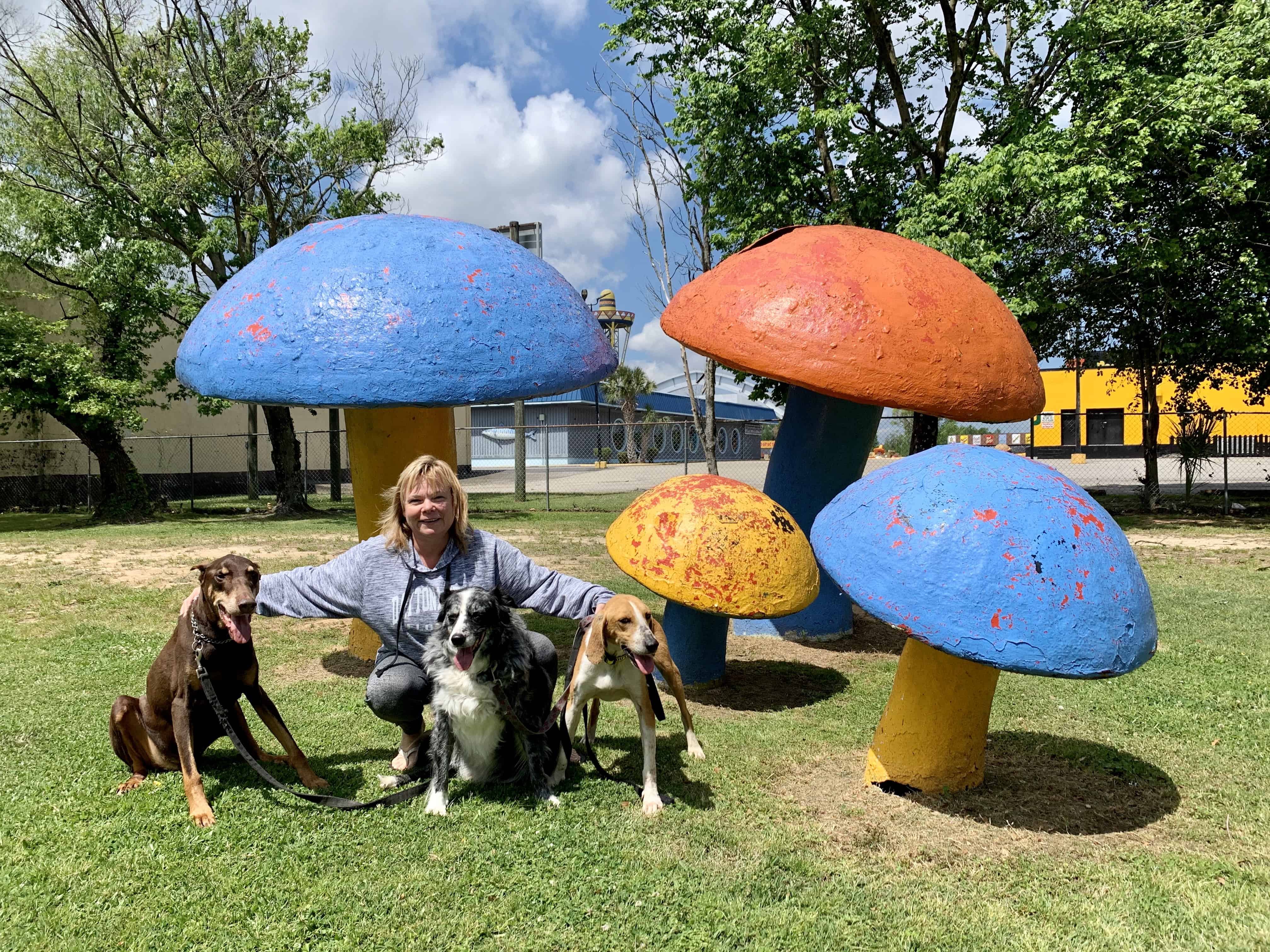 South of the Border - Camp Pedro