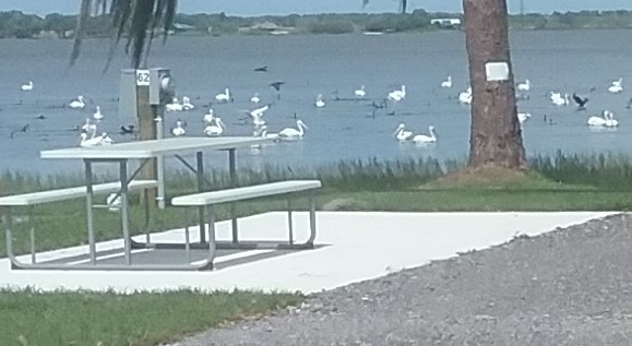 The Outpost RV Park Resort