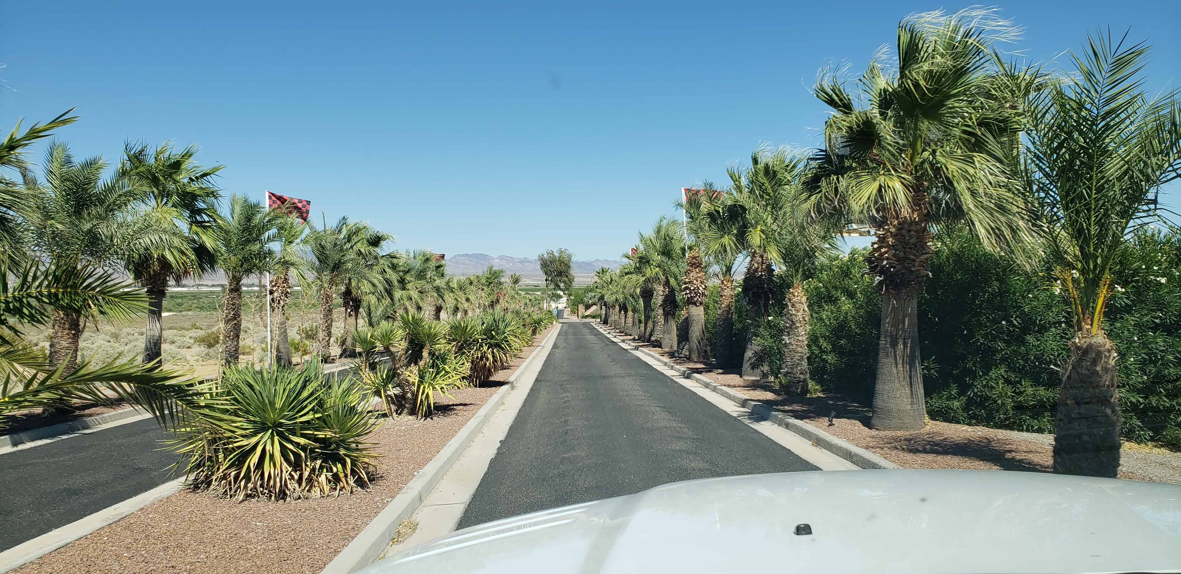 The Palms River Resort