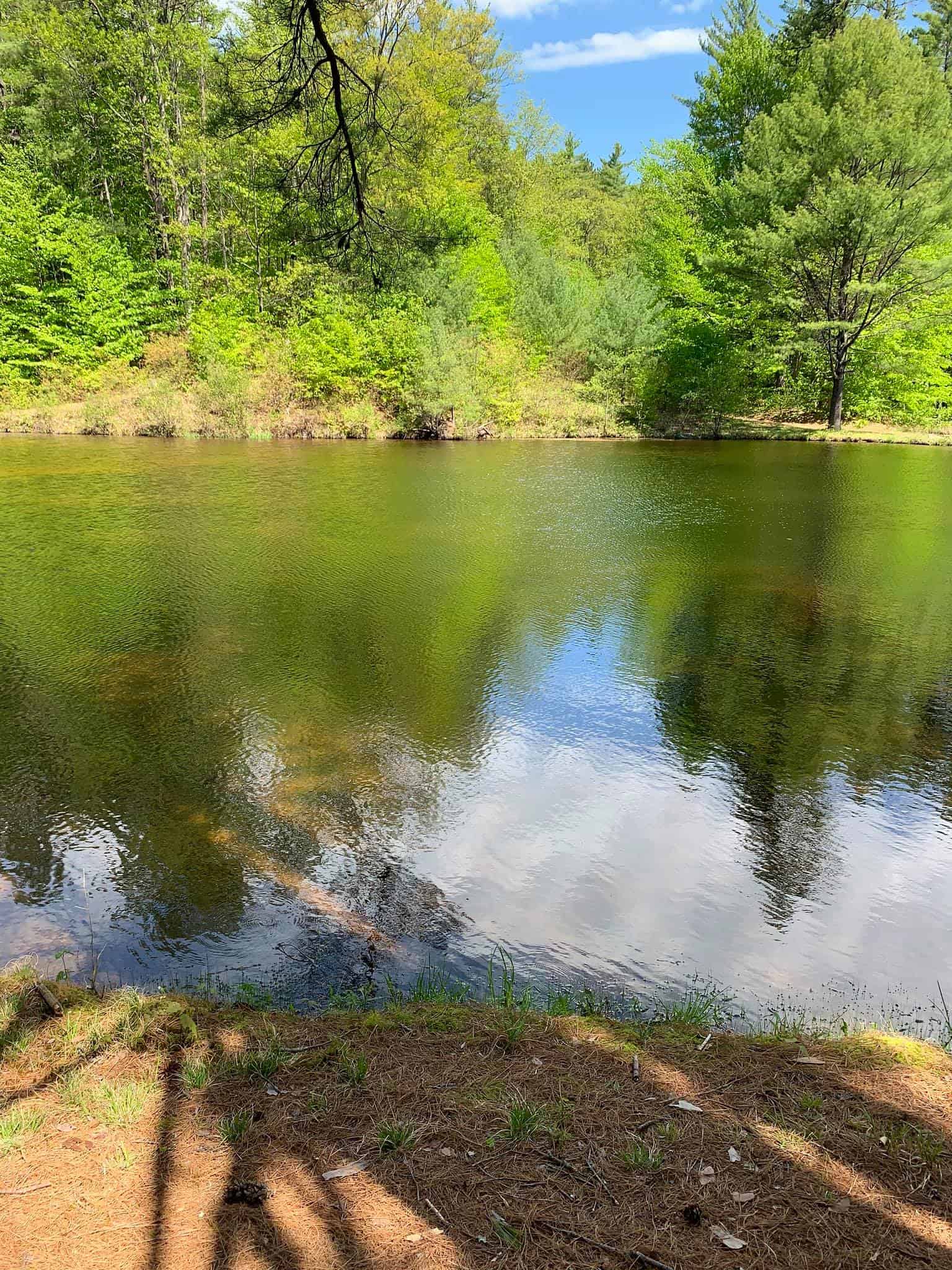 Foothills Family Campground