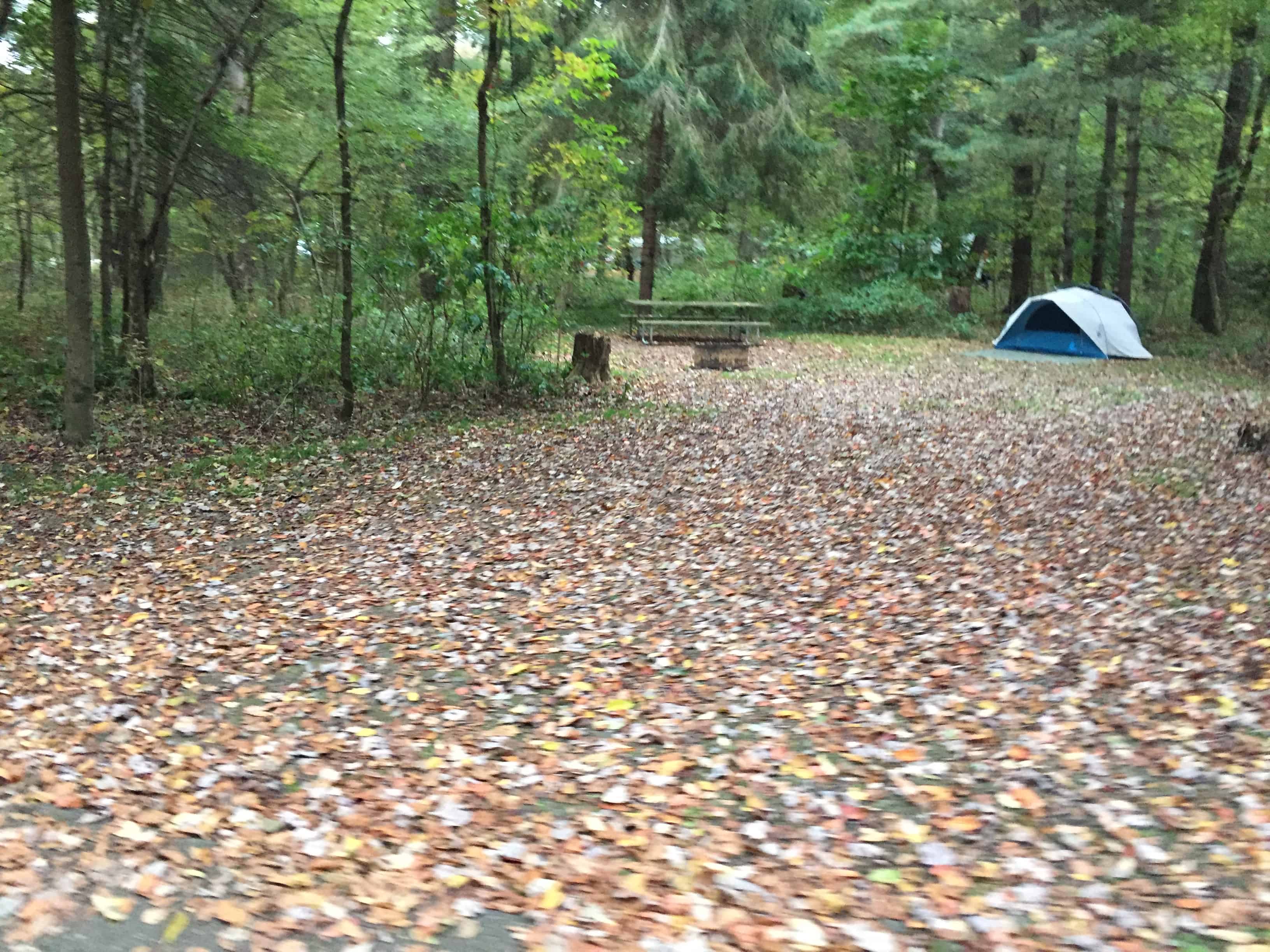 Buckaloons Recreation Area Campground