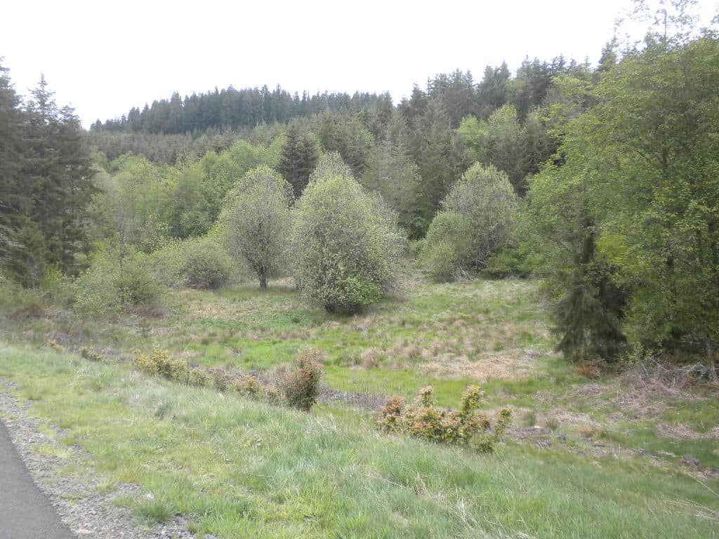 L.L. Stub Stewart State Park