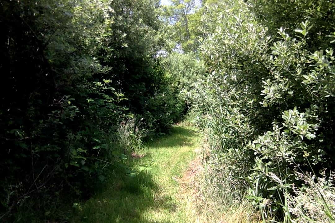 Twins Ranch Campground