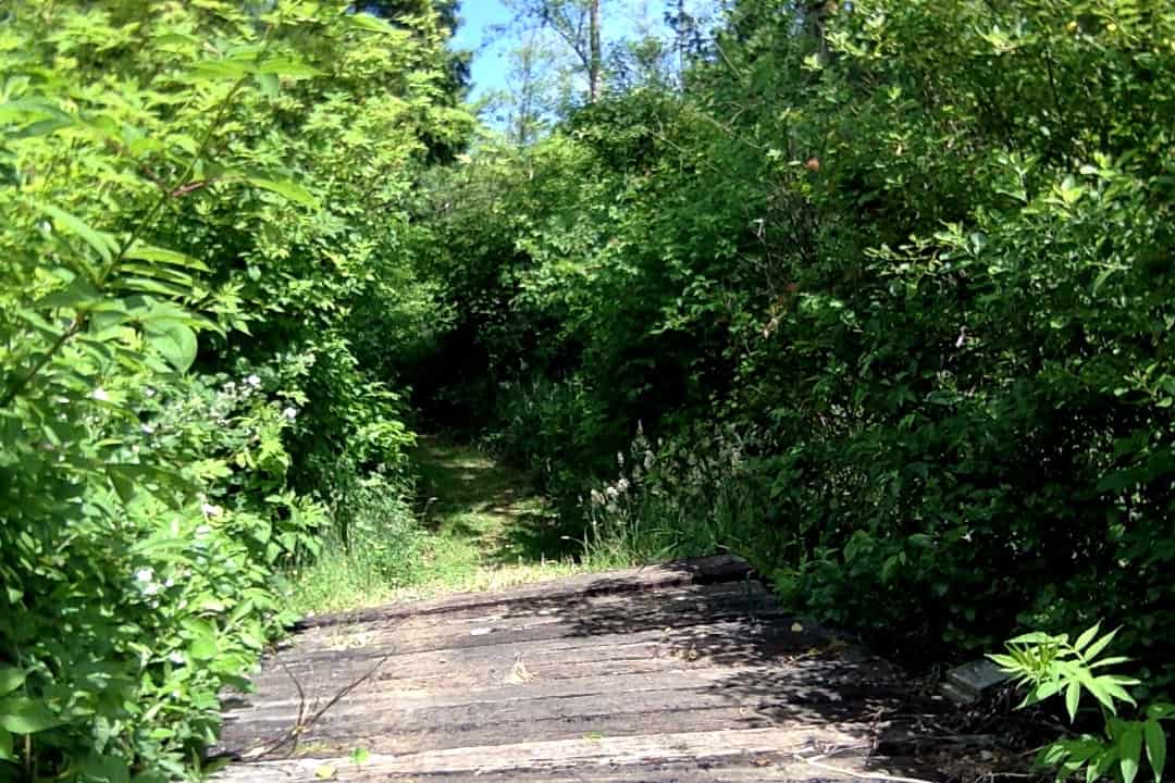 Twins Ranch Campground