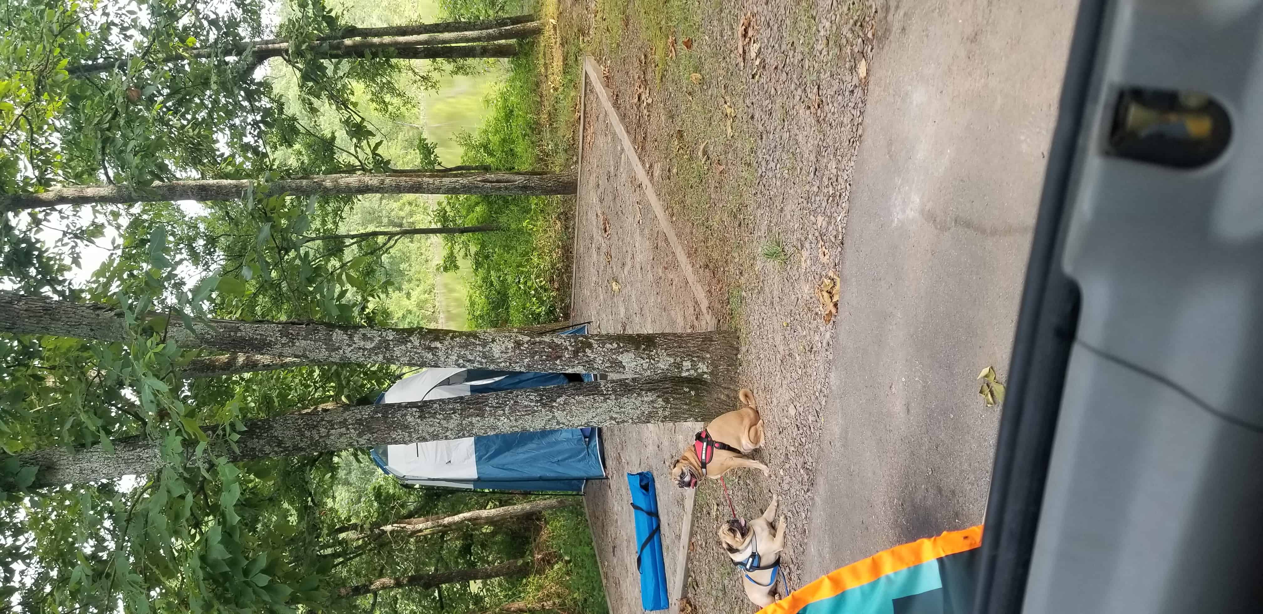 Woolly Hollow State Park