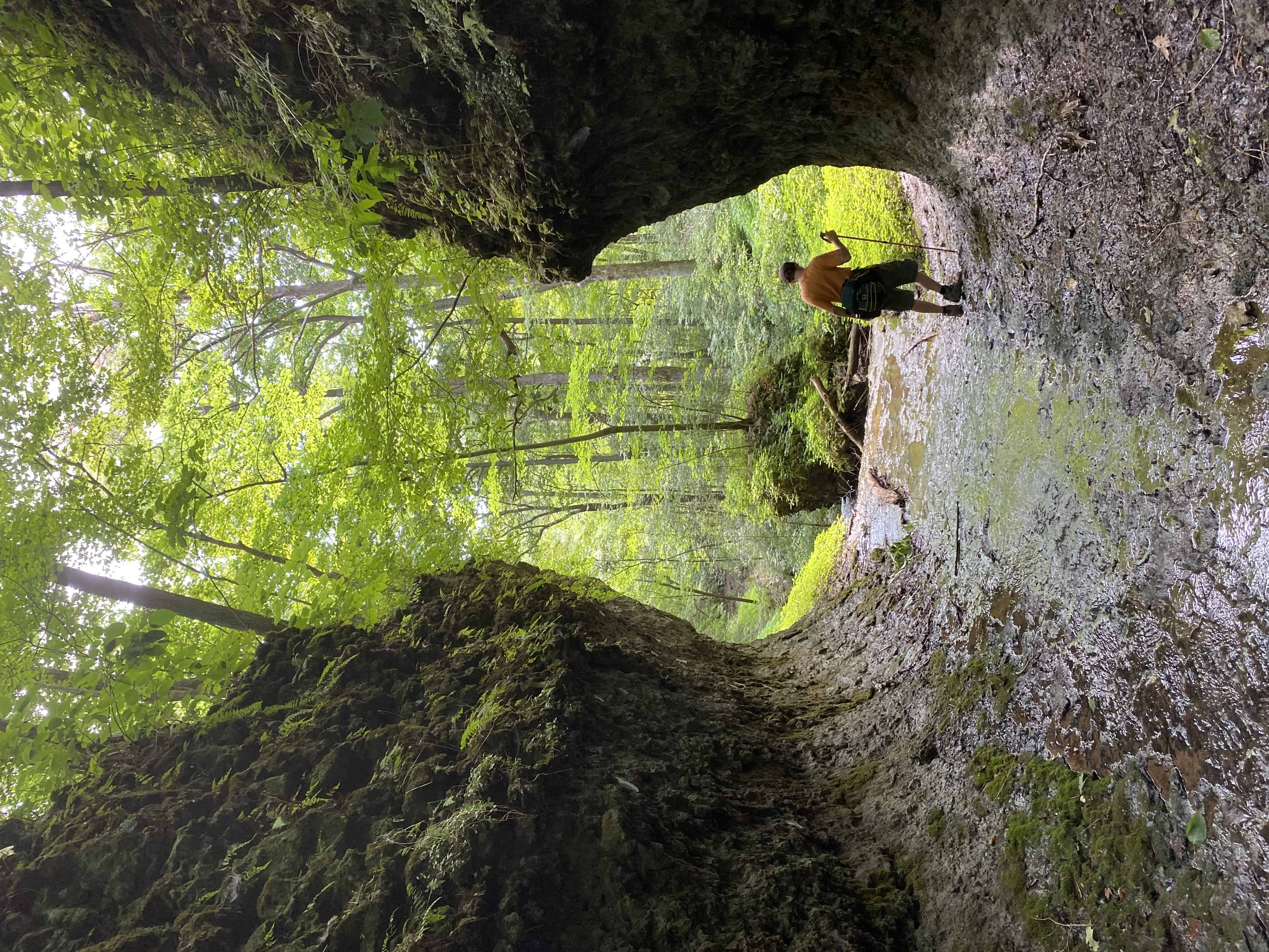 Paint Creek State Park