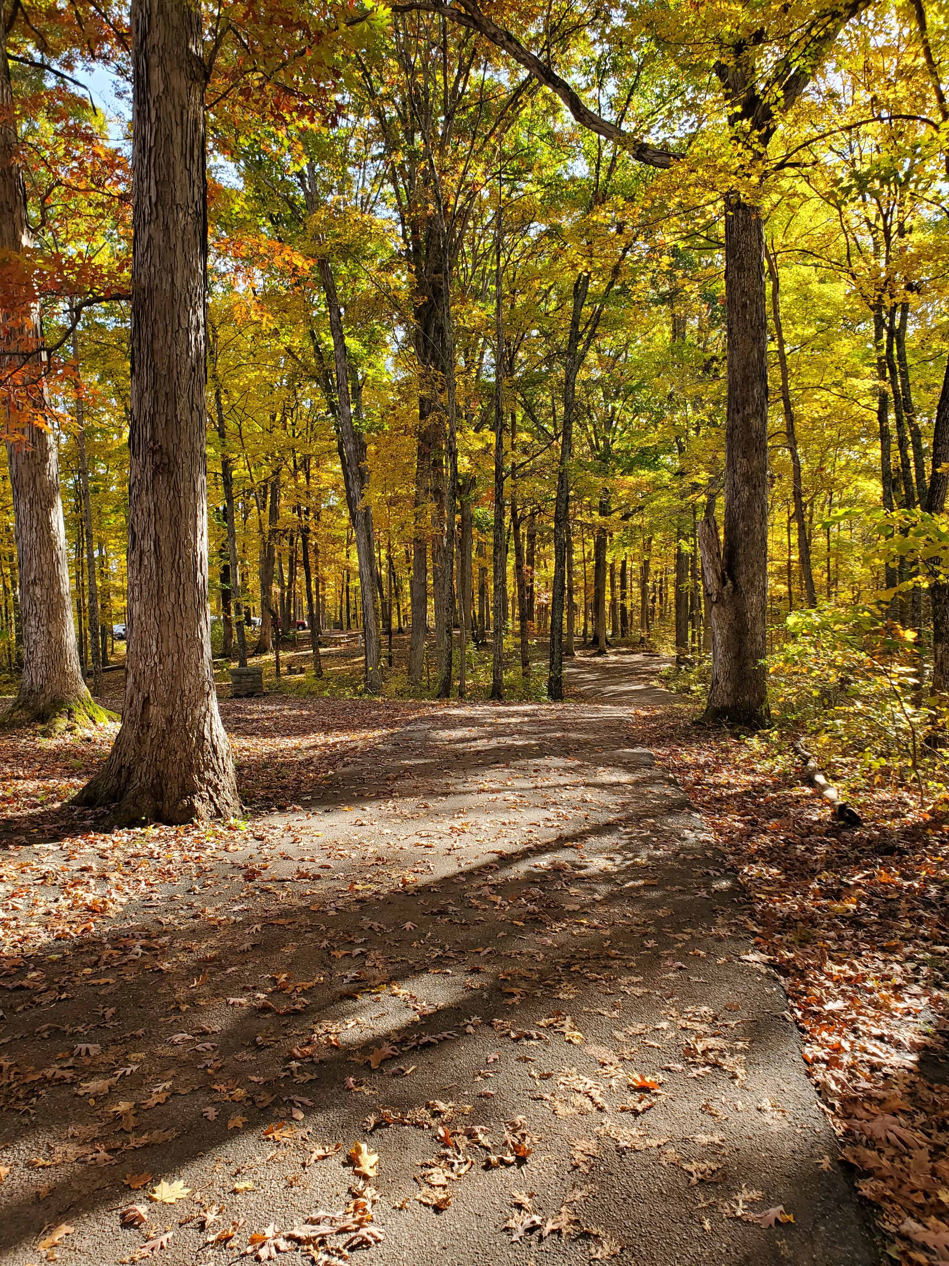 Versailles State Park