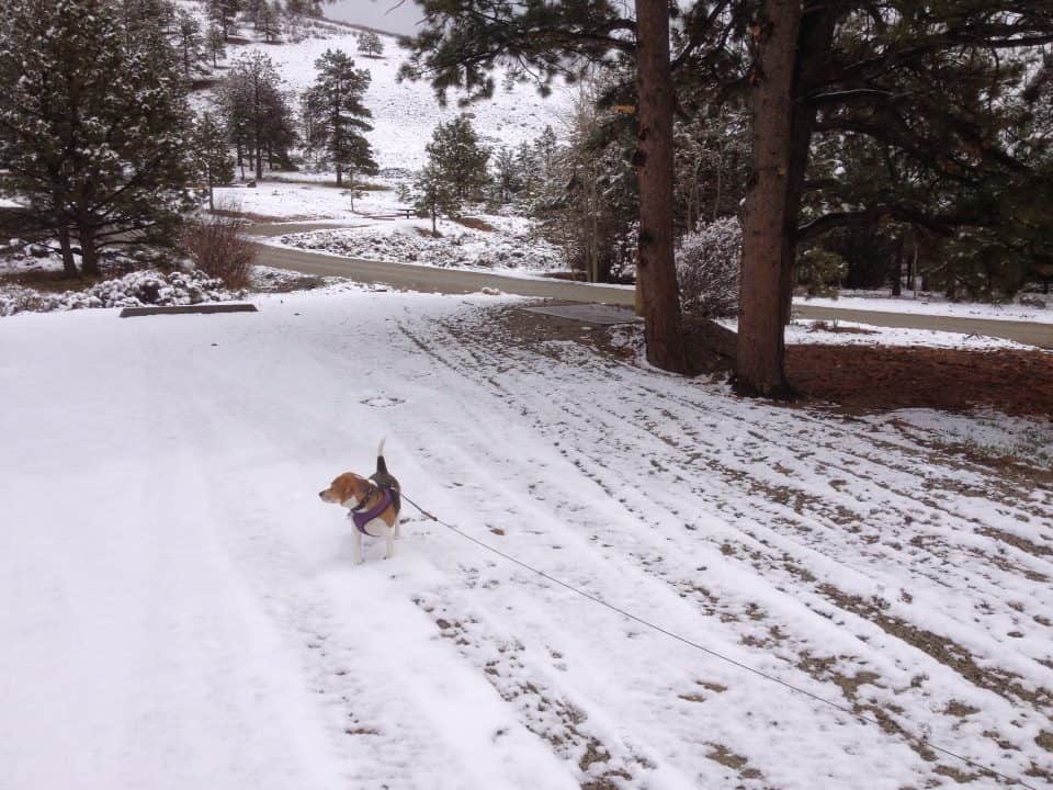 Ohaver Lake Campground