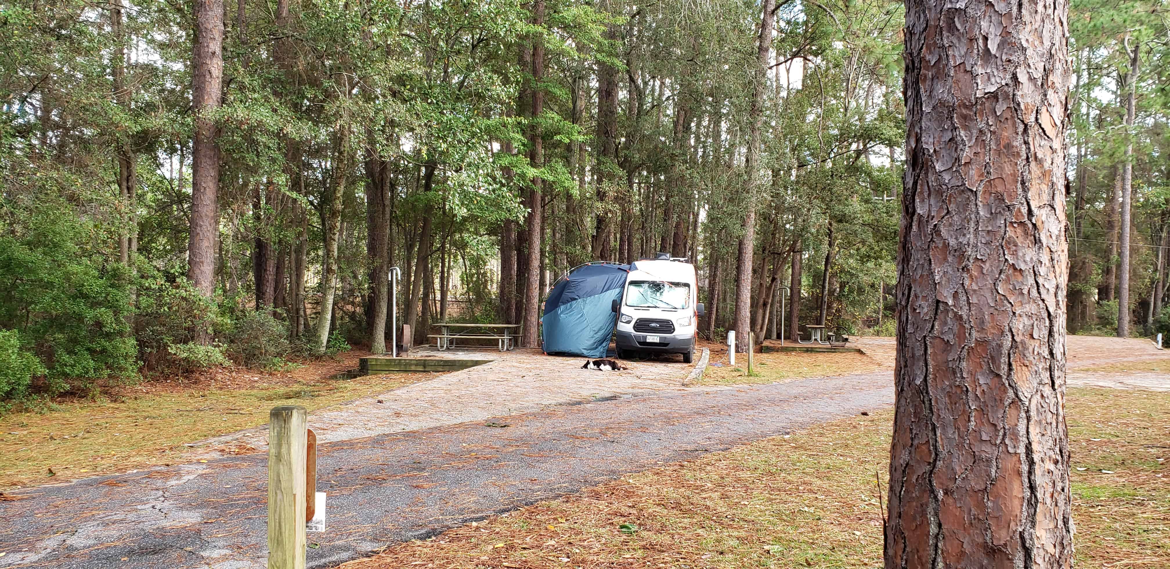 Laura S. Walker State Park