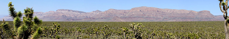 Meadview RV Park and Rentals
