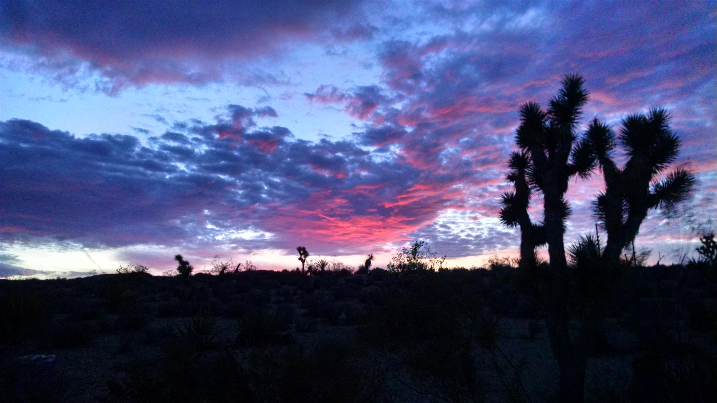 Meadview RV Park and Rentals
