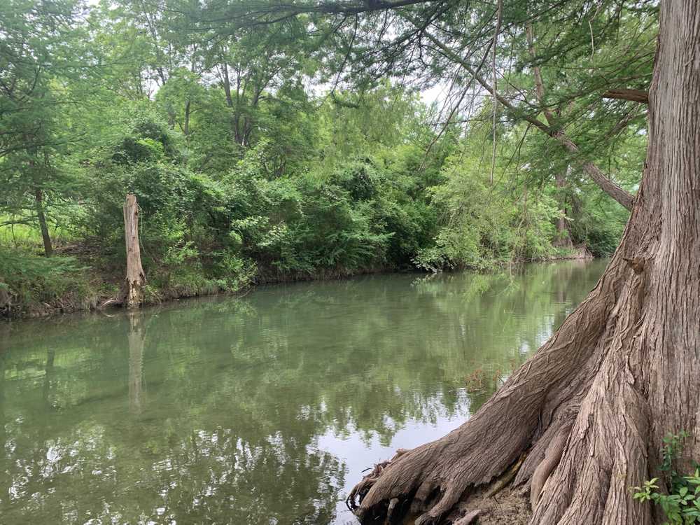 Bandera Star Riverfront Camping & RV Resort