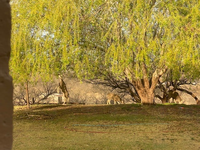 Mesquite Ranch Campground