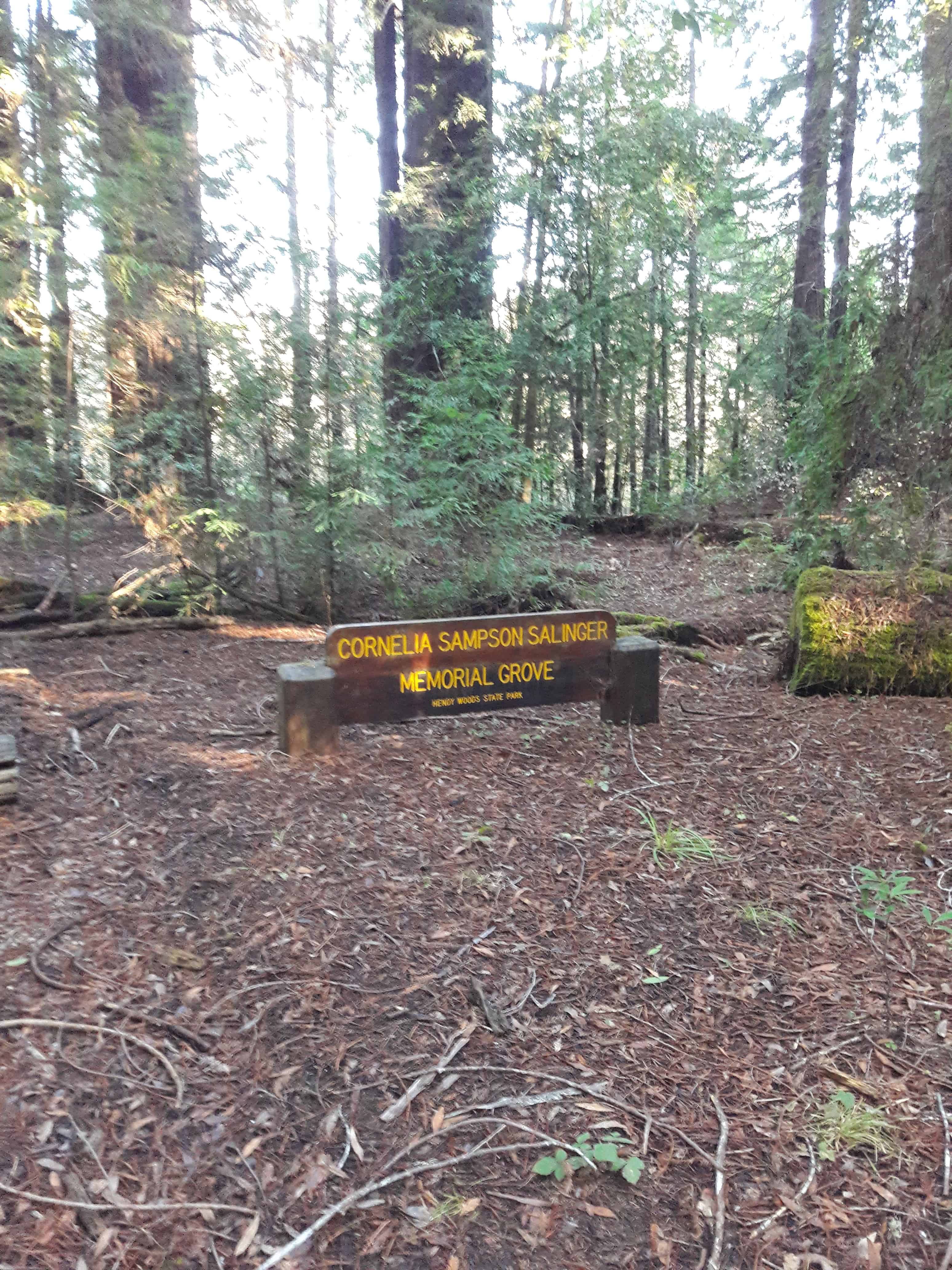 Hendy Woods State Park