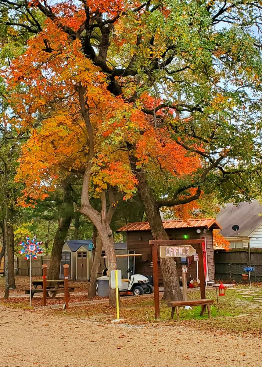 TX Log Cabin RV Park