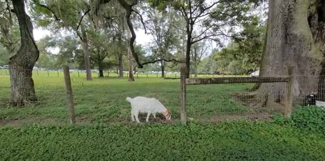 Travelers Campground