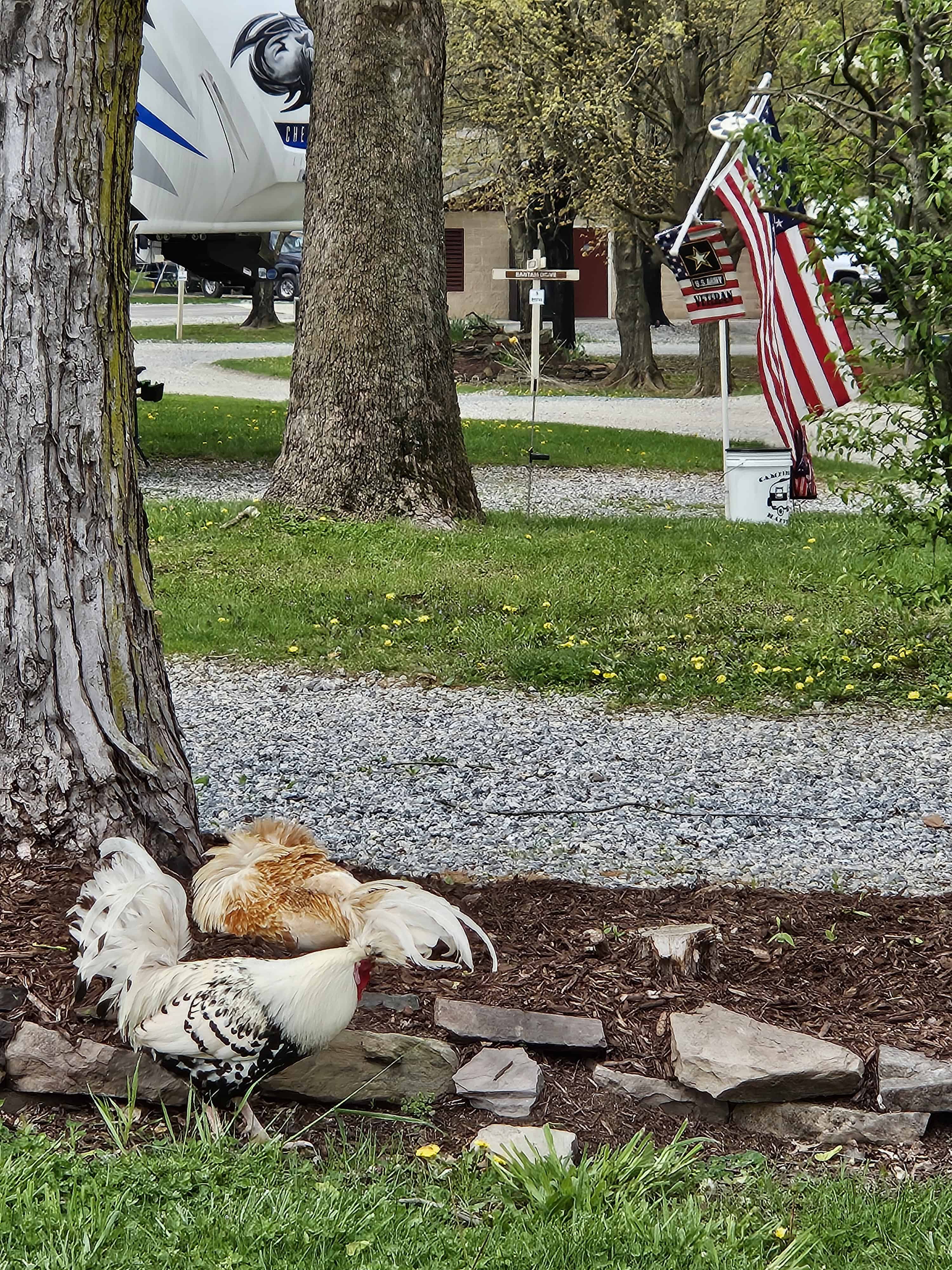 Thousand Trails Gettysburg Farm