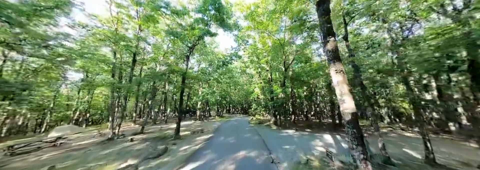 Hanging Rock State Park