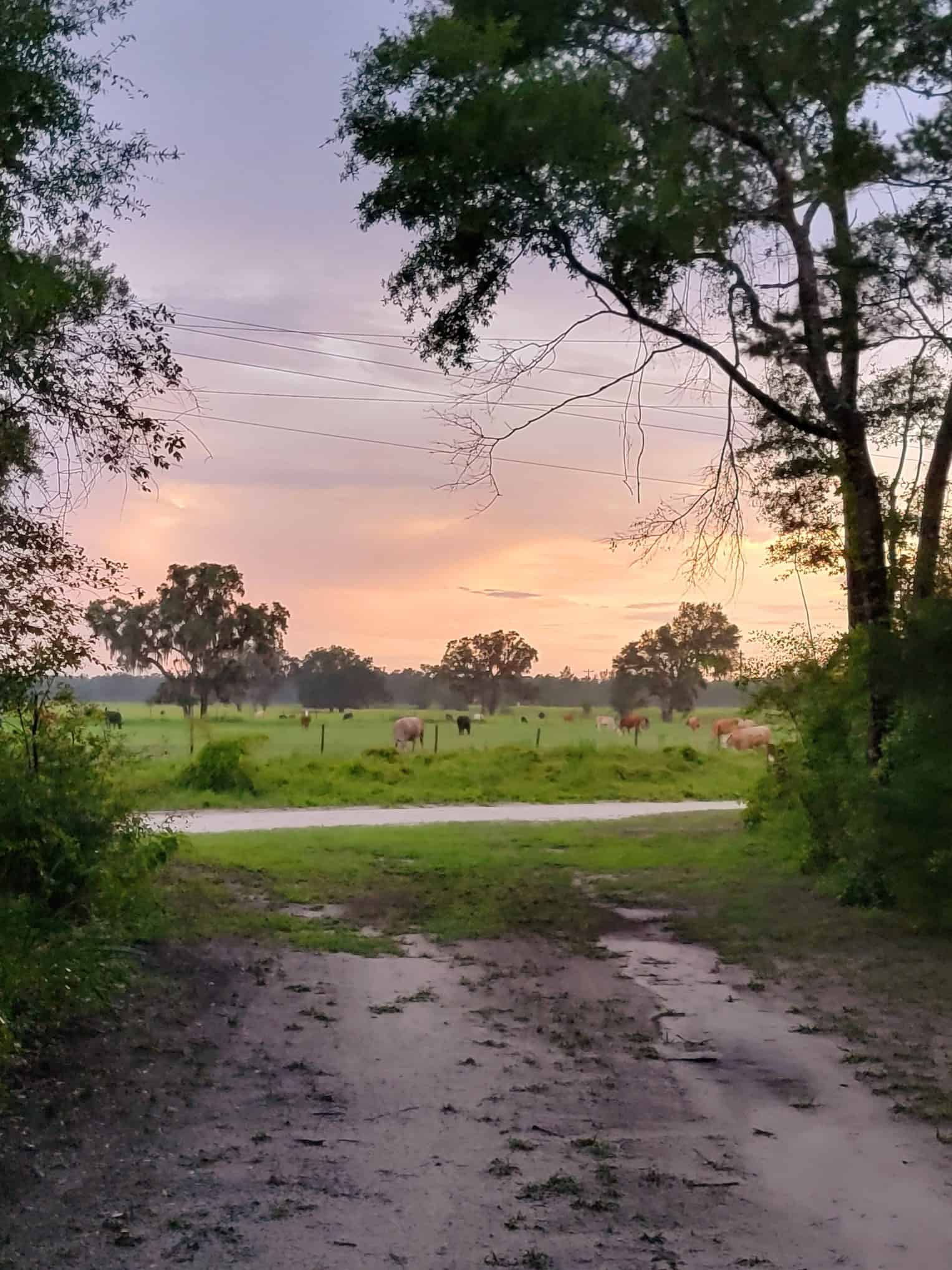 The Hatch Bend Hideaway RV Place