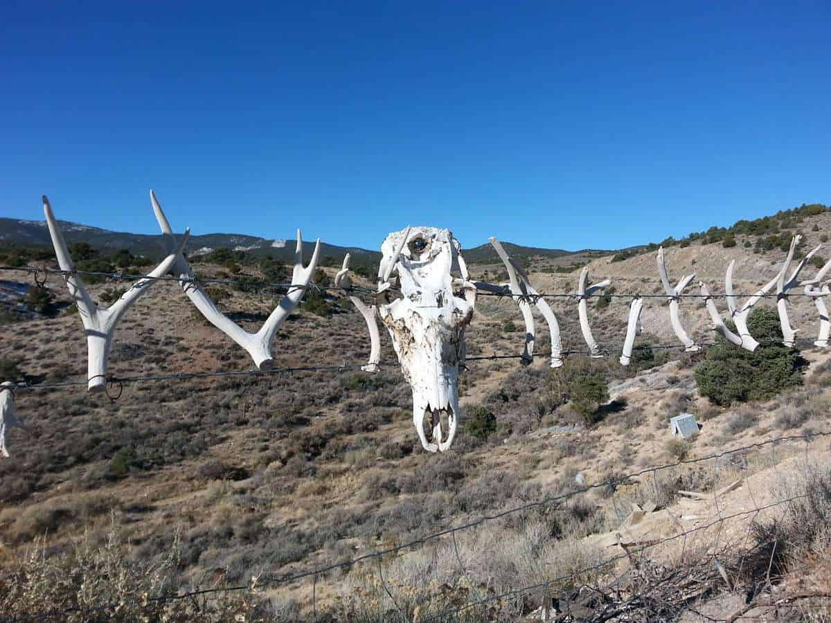 Major's Station Bar & RV Park