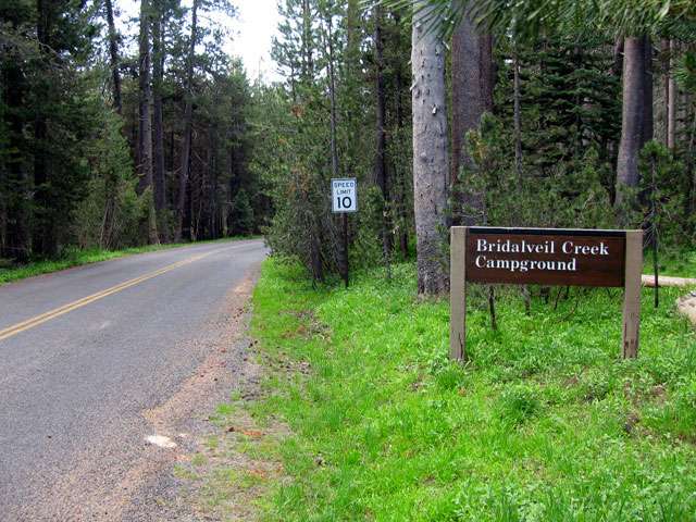 Bridalveil Creek Campground