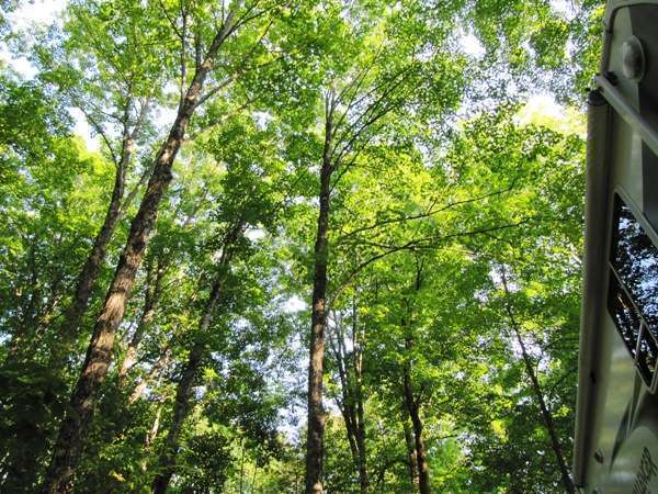 Camping on the Battenkill