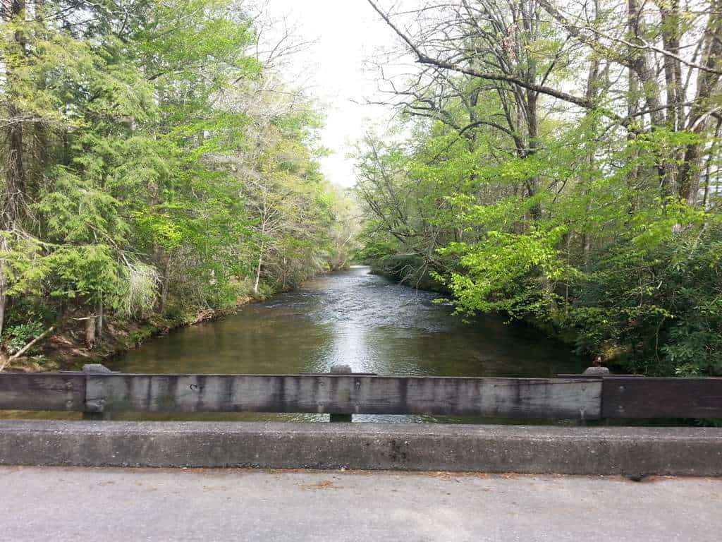 Davidson River Campground