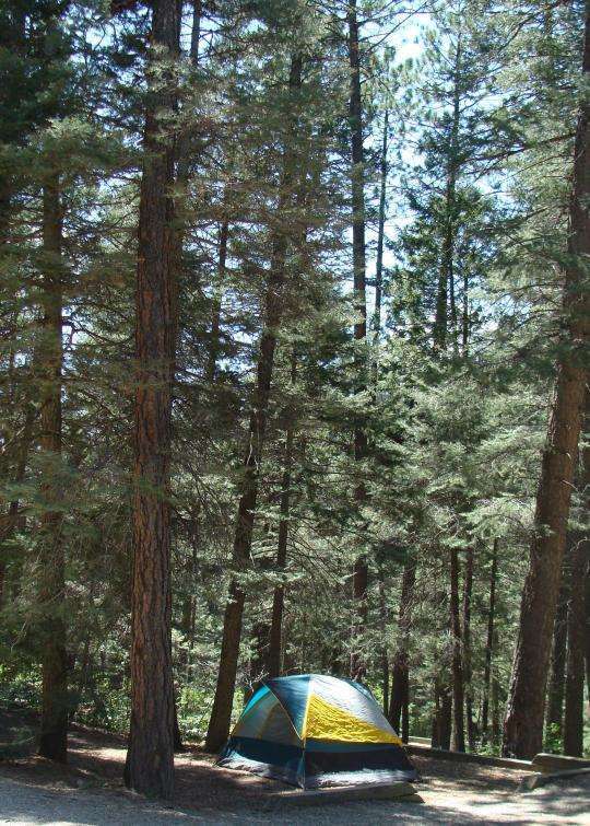 Hyde Memorial State Park