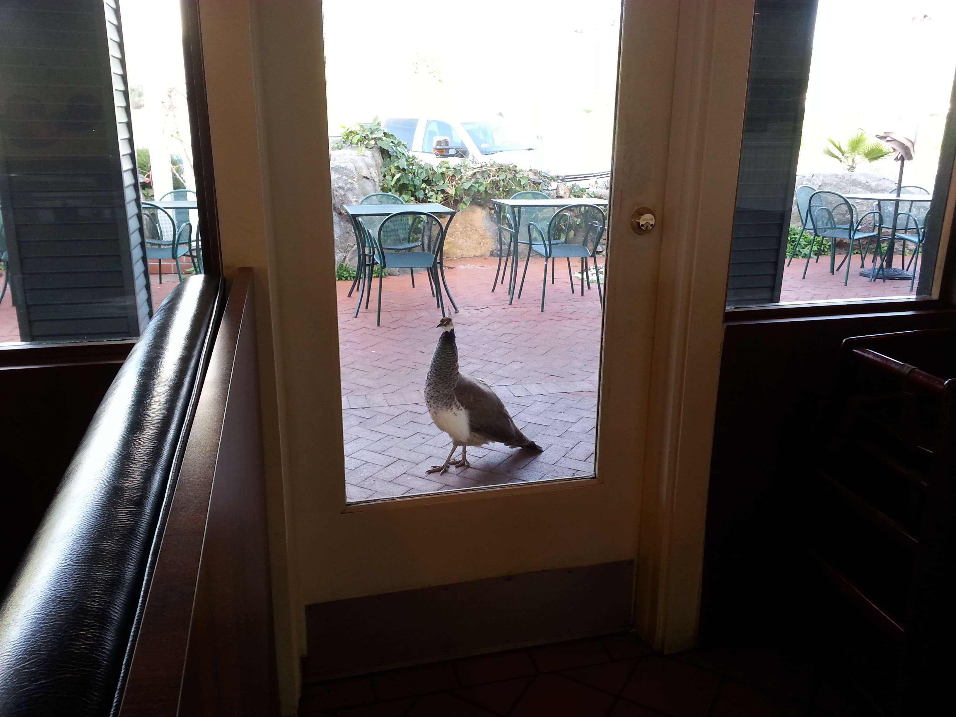 Casa de Fruta RV Park