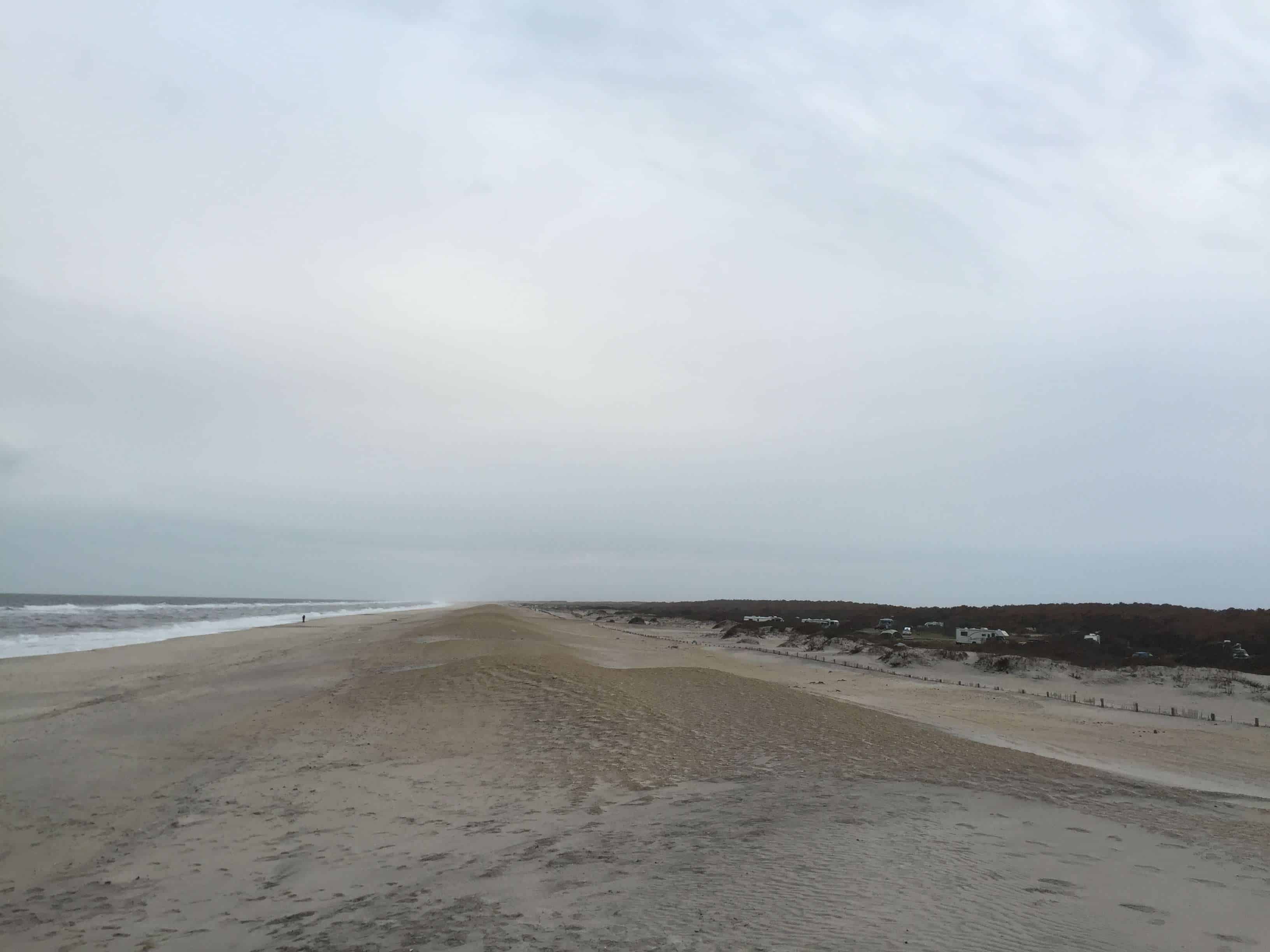 Assateague Island National Seashore