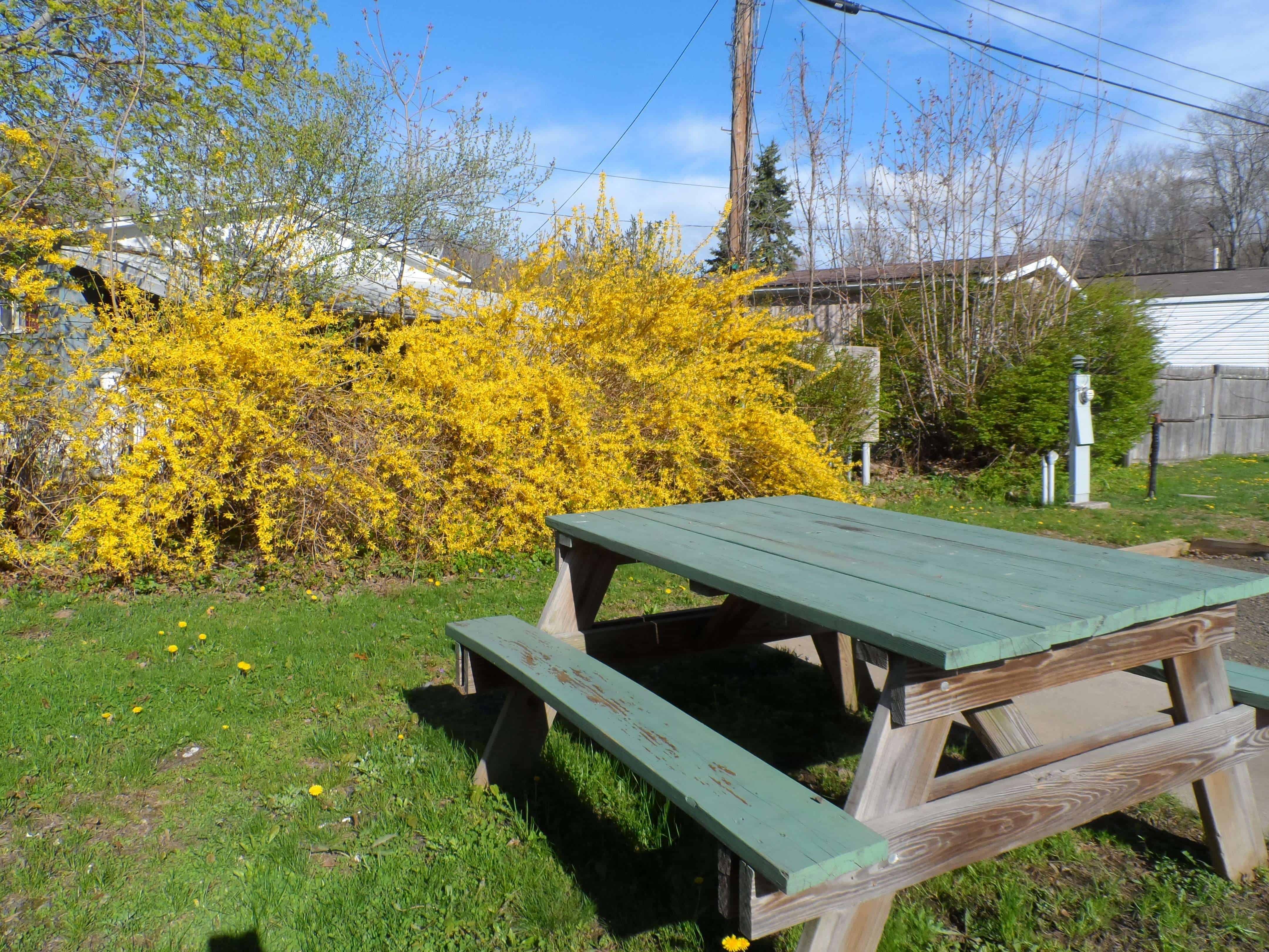 Totoket Valley RV Park