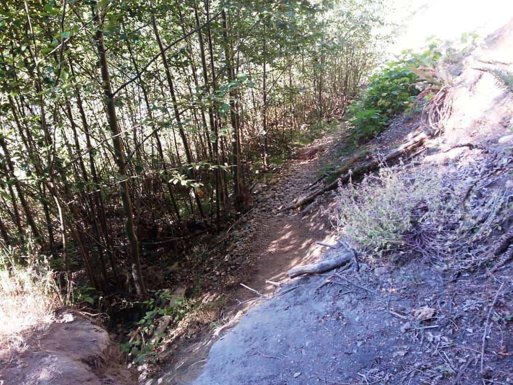 Dosewallips Campground