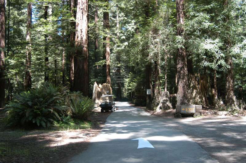 Gualala River Redwood Park