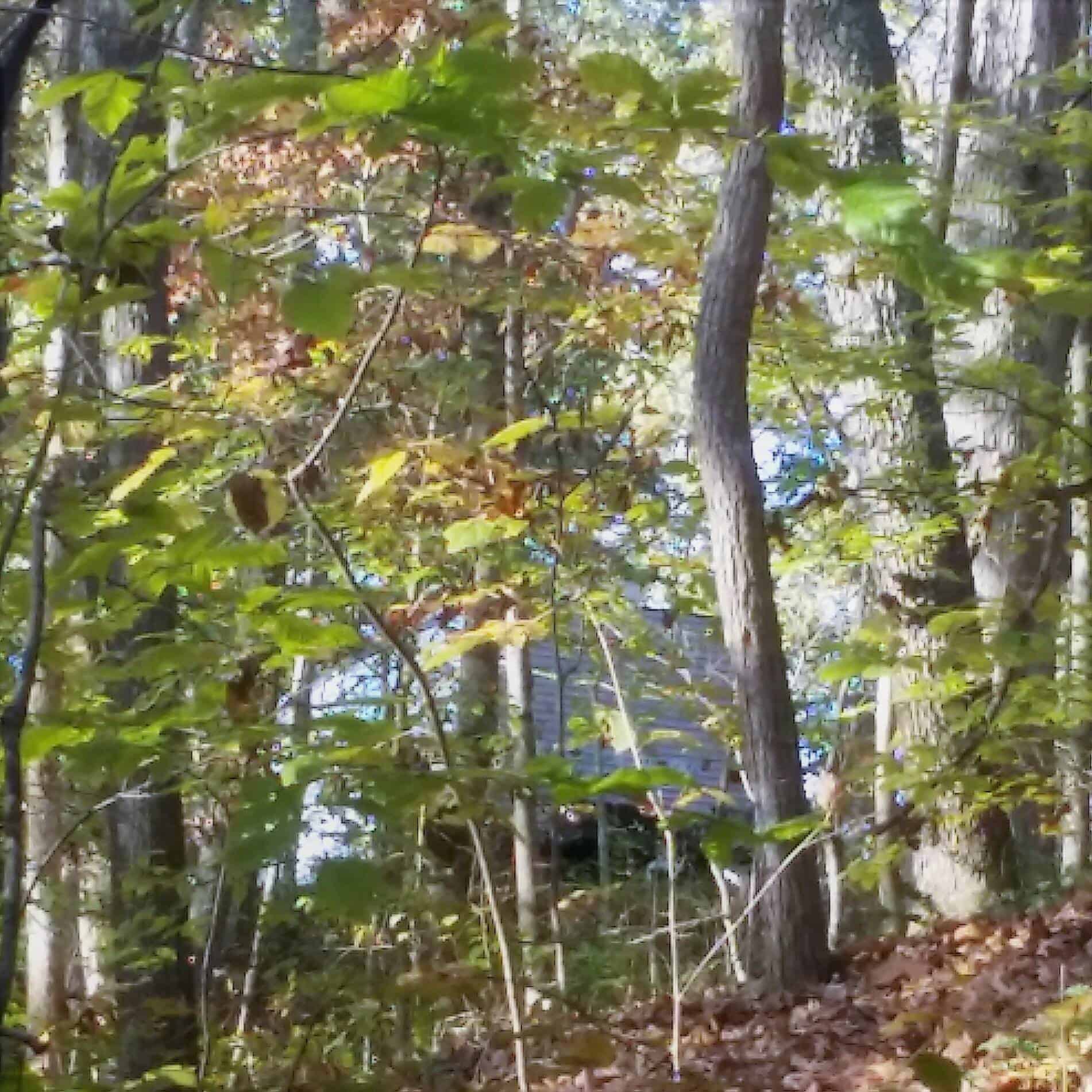 Brown County Nashville KOA